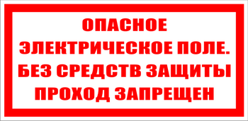 S13 Опасное электрическое поле. без средств защиты проход запрещен - Знаки безопасности - Знаки по электробезопасности - Магазин охраны труда ohranatruda-shop.ru